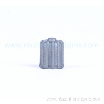 valve stem caps SD022